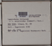 Image Associated With the Occurence